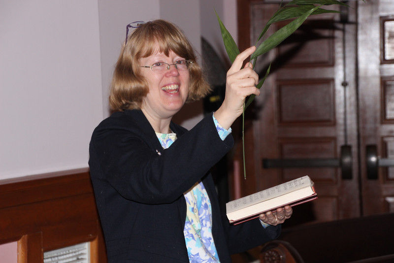palm sunday 2014 3