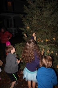 IMG_4579
