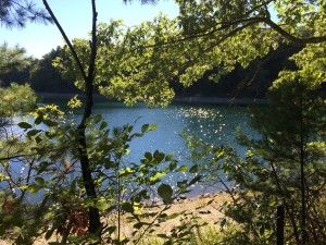 img_7626