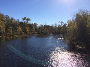 img_7754