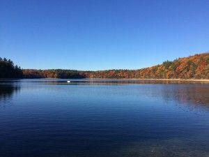 img_7819