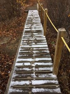 img_7886