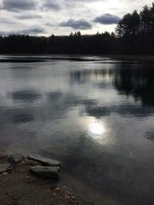 img_7888
