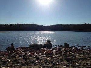 img_8677