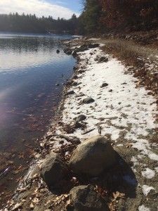 img_7976
