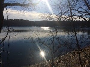 img_7983